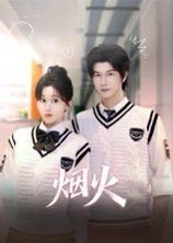 烟火电视剧连续剧40集 影院热映 国语版