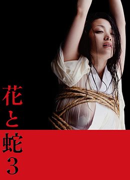 花与蛇3之白衣绳奴 高分推荐 热播更新
