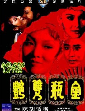 金瓶双艳电视剧免费观看全集 高分推荐