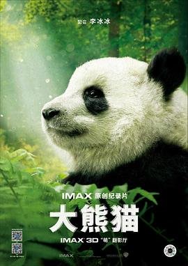 大熊猫的外形 热搜影视 特别篇