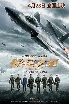 长空之王在线观看 口碑佳作 高清国语