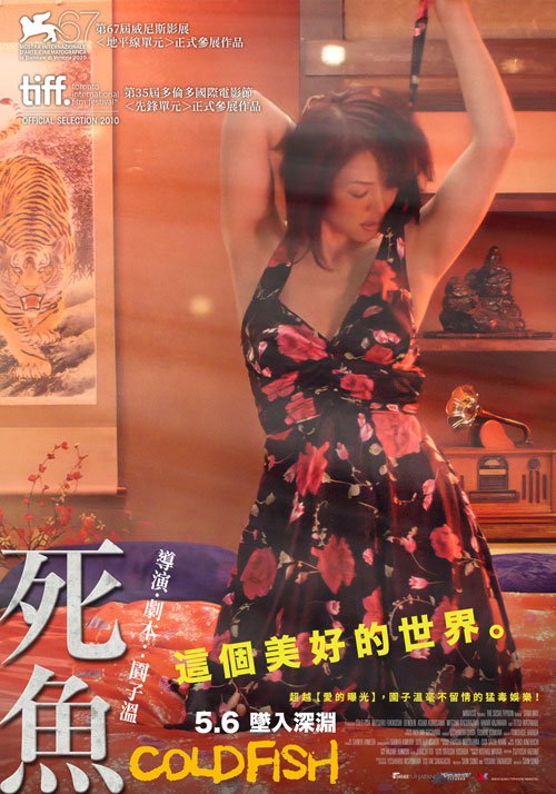 死鱼 极速播放 全剧集