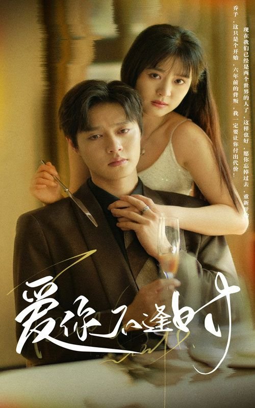 爱你不逢时 云播放 清晰版