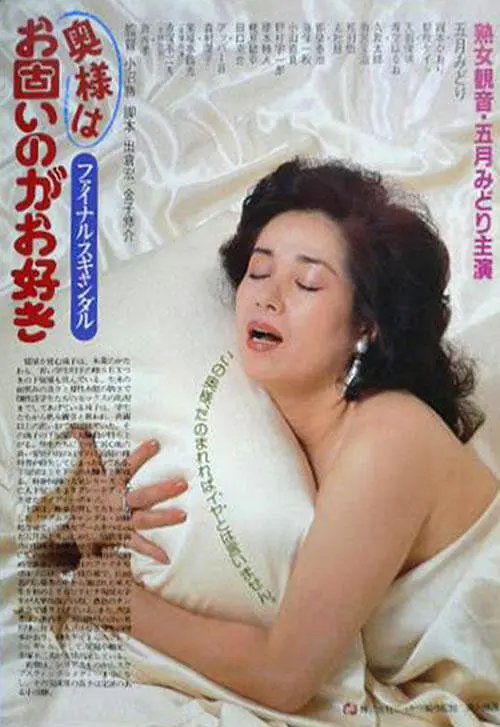 丑闻夫人 新片推荐 中文字幕
