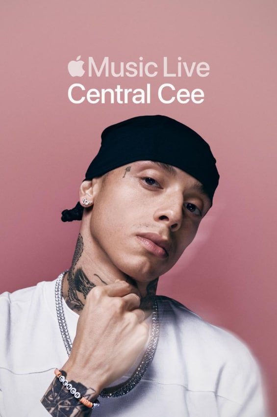 apple music 经典推荐 高清版